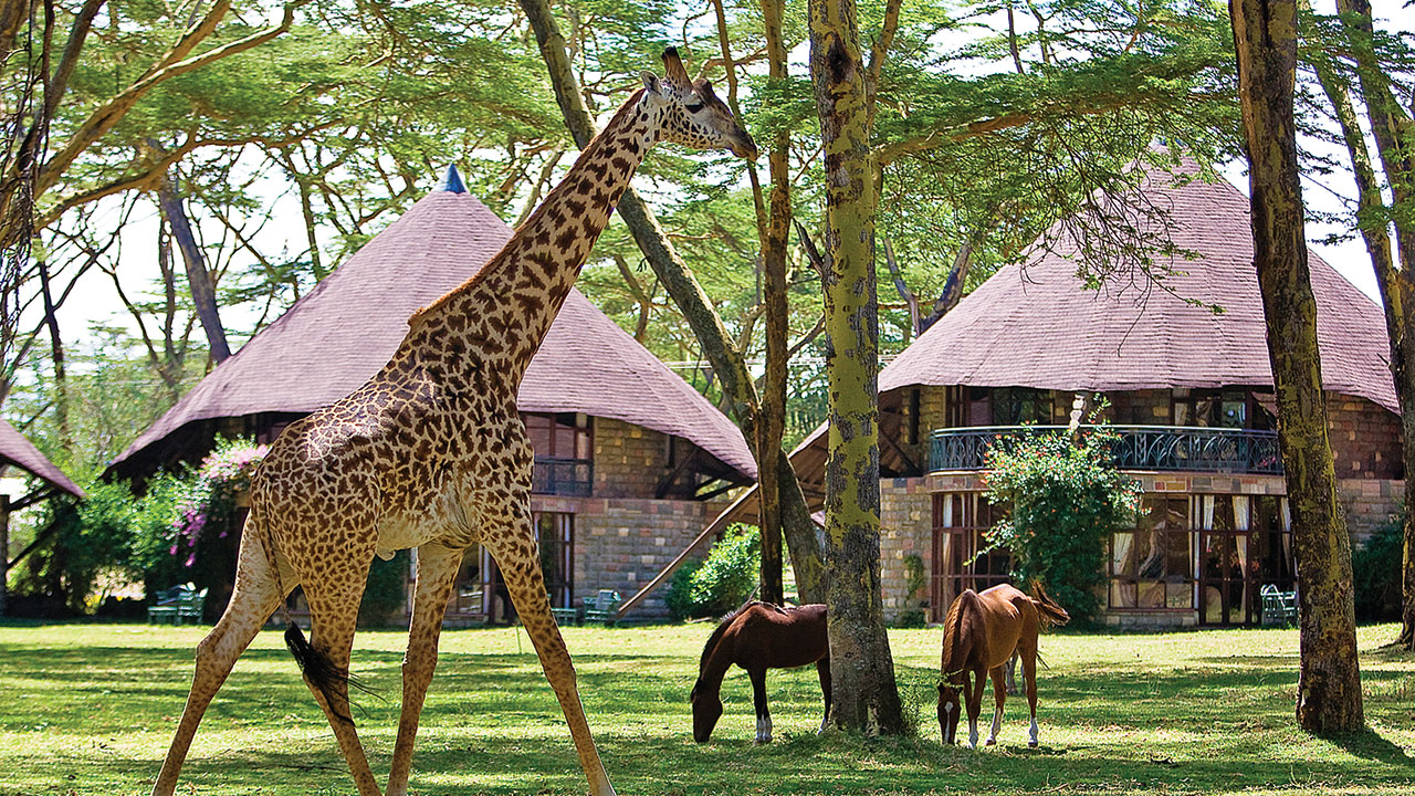 romantic-safari-Lodges or Campsites