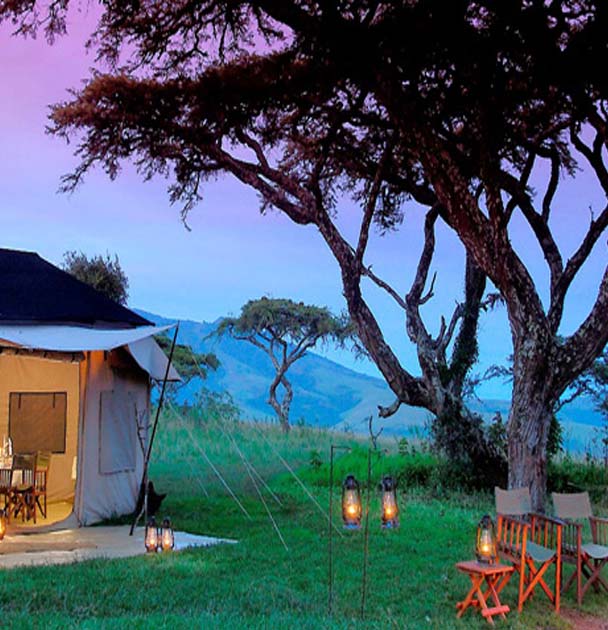 Luxury, Semi Luxury or Budget camps and Campsites can be provided